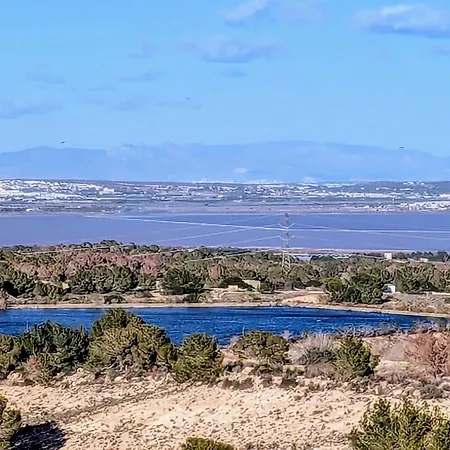 Martin * San Miguel De Salinas